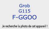 F-GGOO Grob G115